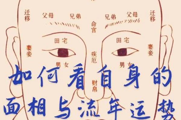 看脸上胎记算命知命运