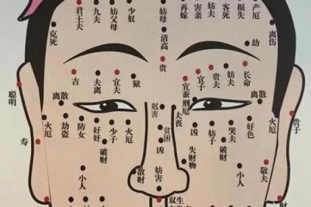 看脸上胎记算命知命运