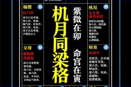 紫薇斗数四墓宫
