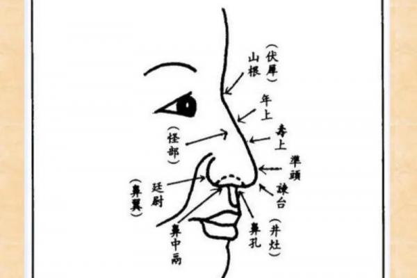 面相风水鹰钩鼻子的女人有福气吗