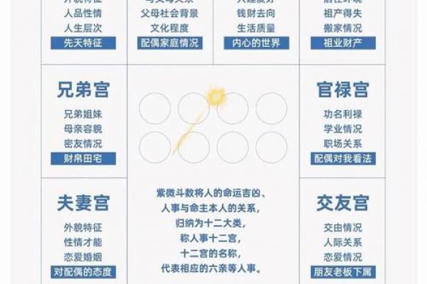 紫薇斗数测号码