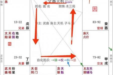 军师府紫薇斗数高级