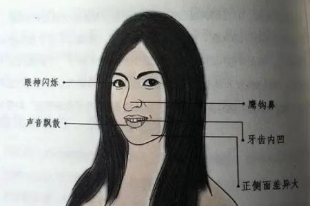 面相风水鹰钩鼻子的女人有福气吗