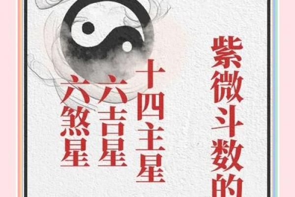 星尘算命紫薇斗数