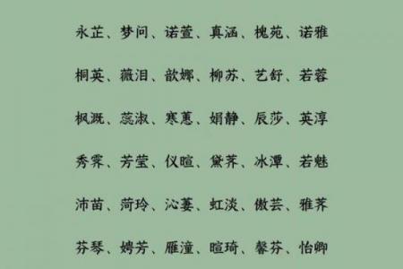 女孩取名按字辈算命