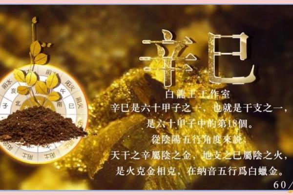 辛巳日柱出生男女八字命运