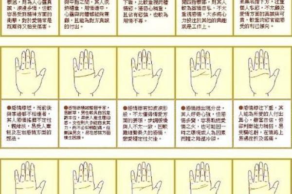 手纹算命图解【高清】 手纹算命图解【高清】