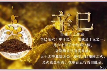 辛巳日柱出生男女八字命运