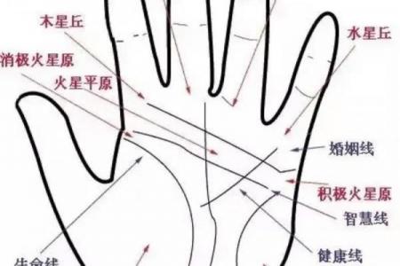 手纹算命图解【高清】