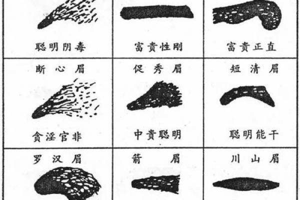 八字眉的女人性格怎样人际关系解答