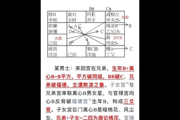 紫薇斗数精成在线阅读