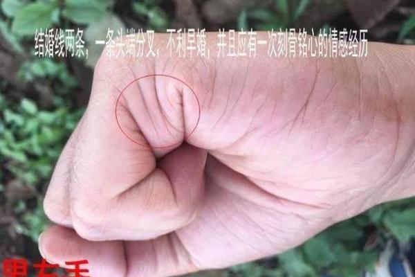 鞍山哪有算命准的 善缘堂算命是真是假 鞍山哪有算命准的 善缘堂算命是真是假