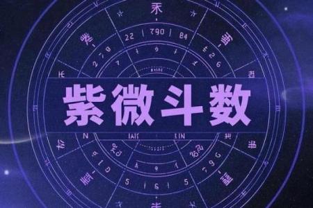 紫薇斗数铃星陷