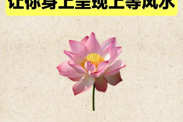 风水风水禁忌_在我们中国风水与迷信是同一个意思吗