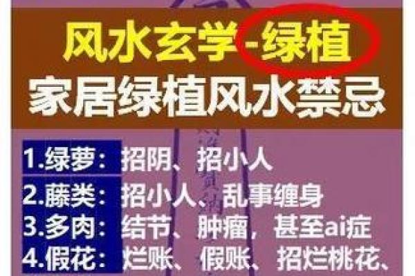 风水风水禁忌_在我们中国风水与迷信是同一个意思吗