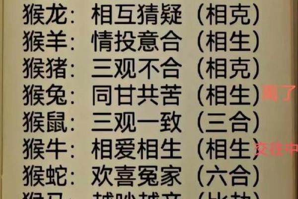 风水二八佳人是什么生肖最恰当
