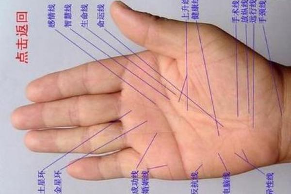 看手相算命:第六课 实际看 看手相算命:第六课 实际看