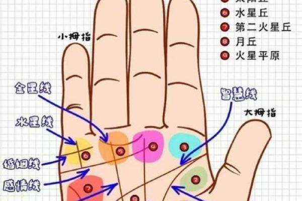 看手相算命:第六课 实际看 看手相算命:第六课 实际看