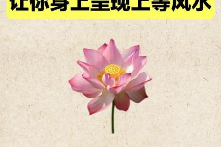 风水风水禁忌_在我们中国风水与迷信是同一个意思吗