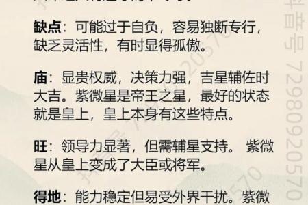 紫薇星化忌怎么看