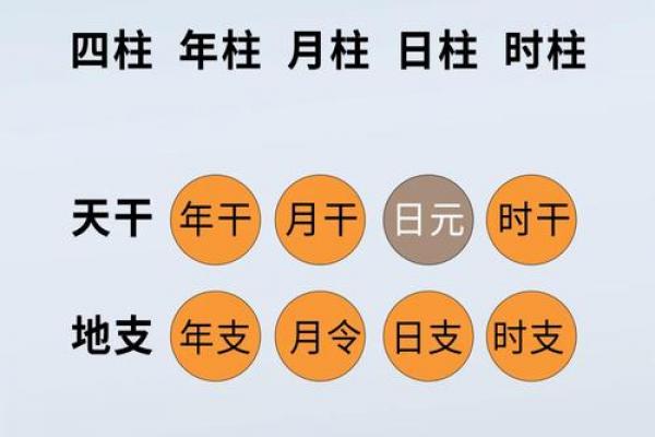 八字日干本性