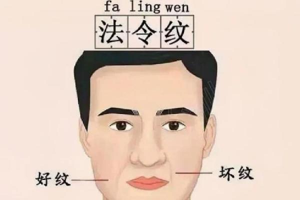 从法令纹看相算命