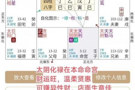 紫微命盘算命吉星