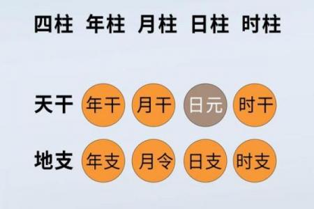 八字日干本性