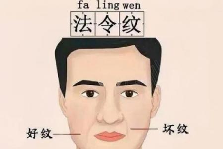 从法令纹看相算命