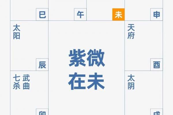 南北派紫薇斗数