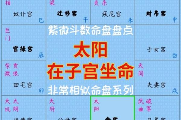 紫薇斗数与八字信息相通