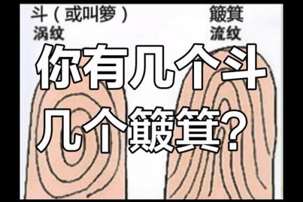 手指斗算命 手上有几个斗适合当老板 手指斗算命 手上有几个斗适合当老板