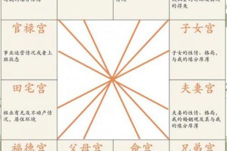 八卦与紫微斗数一样吗 紫微斗数跟八字哪个准？