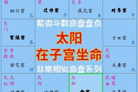 紫薇斗数与八字信息相通