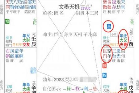 东派紫微斗数 东派紫微斗数王星东简介？