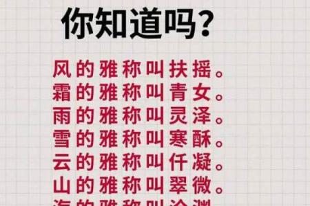 窗对河风水_有个女孩手扶窗户窗户外落叶河流猜成语