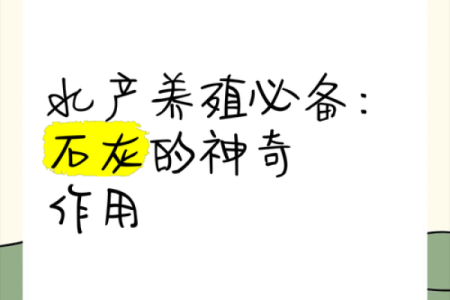 生石灰风水讲究