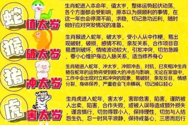 2003年属羊最佳结婚年龄 2003年属羊一生有几次婚姻