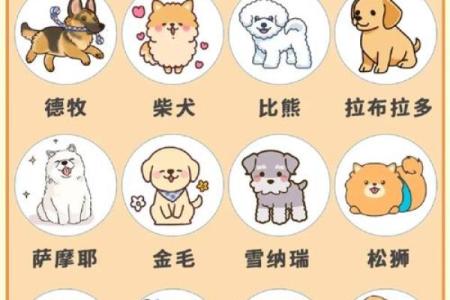 12星座男养狗适合养什么狗