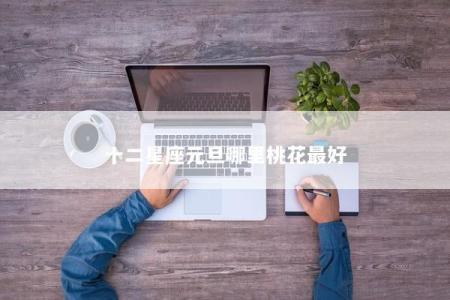 十二星座元旦哪里桃花最好
