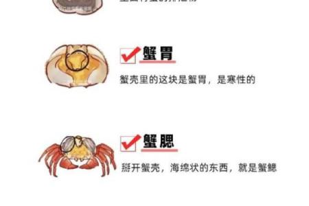 哪个星座喜欢吃螃蟹