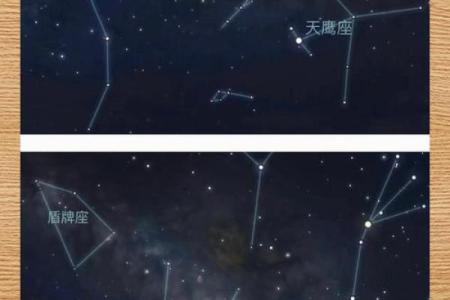 牛郎织女分别指哪两个星座的
