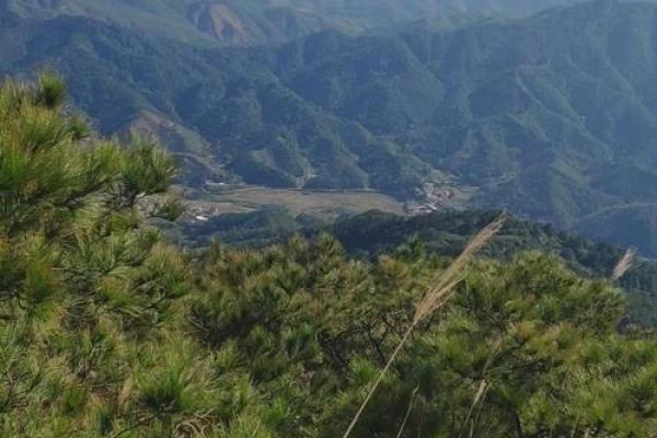 浦北苏村风水