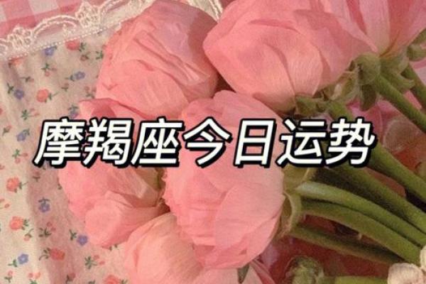 摩羯座今日运势星座乐查询