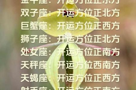 0510星座运势及运程