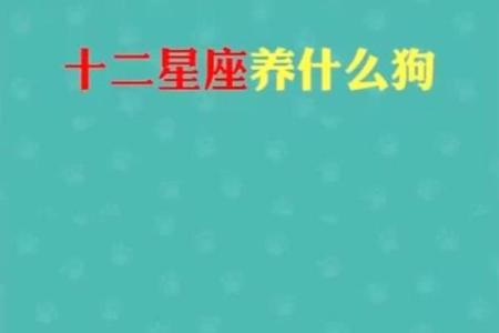 啥星座最适合养什么狗狗呢