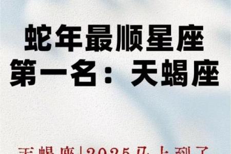 八月天蝎星座运势