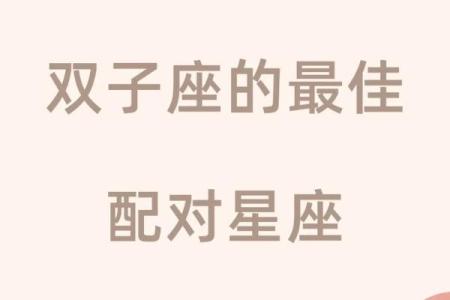 十二星座最适合养的宠物双子座