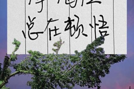 爱情开窍比较晚的星座