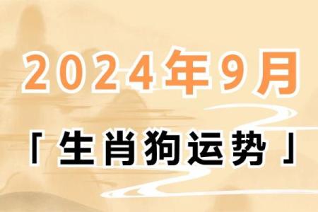 星座女属狗的运势怎样呢